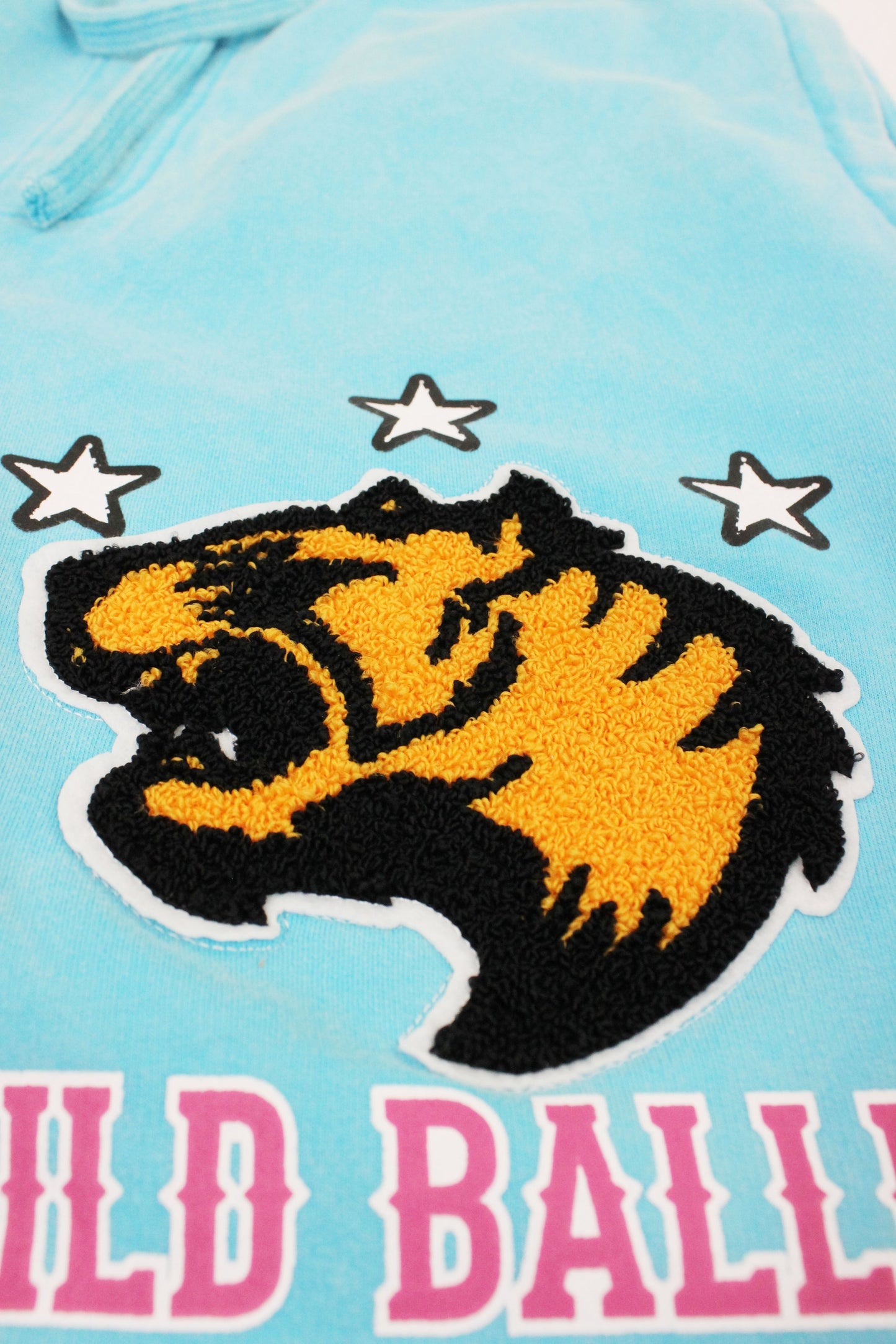Men's Wild Baller Chenille Patch Acid Washed Graphic Fleece Shorts