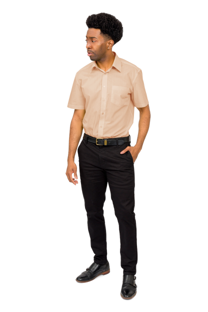 Men's Regular Fit Short Sleeve Solid Color Dress Shirts