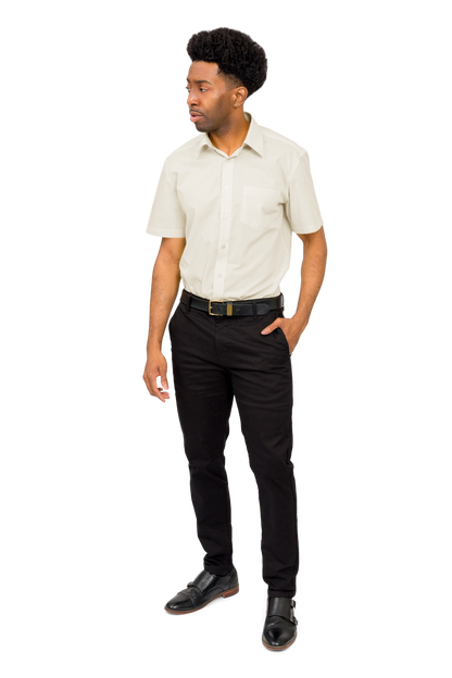 Men's Regular Fit Short Sleeve Solid Color Dress Shirts