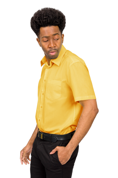 Men's Regular Fit Short Sleeve Solid Color Dress Shirts