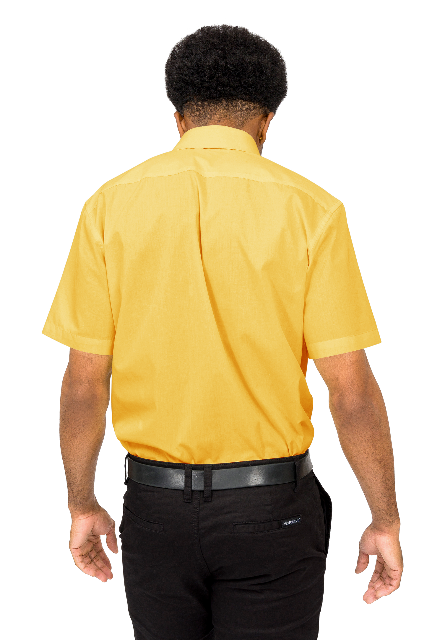 Men's Regular Fit Short Sleeve Solid Color Dress Shirts