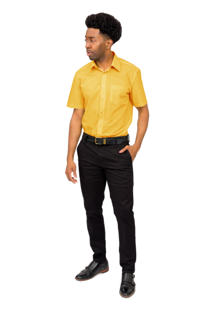Men's Regular Fit Short Sleeve Solid Color Dress Shirts