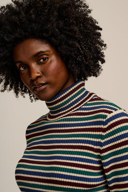 Eva - Knitted Roll Neck Long Sleeve Top in Earthy Stripe