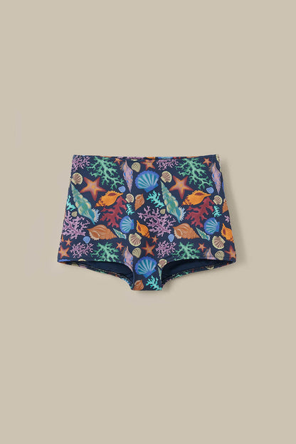 Monte - Bikini Bottom Shorts in Shell Print