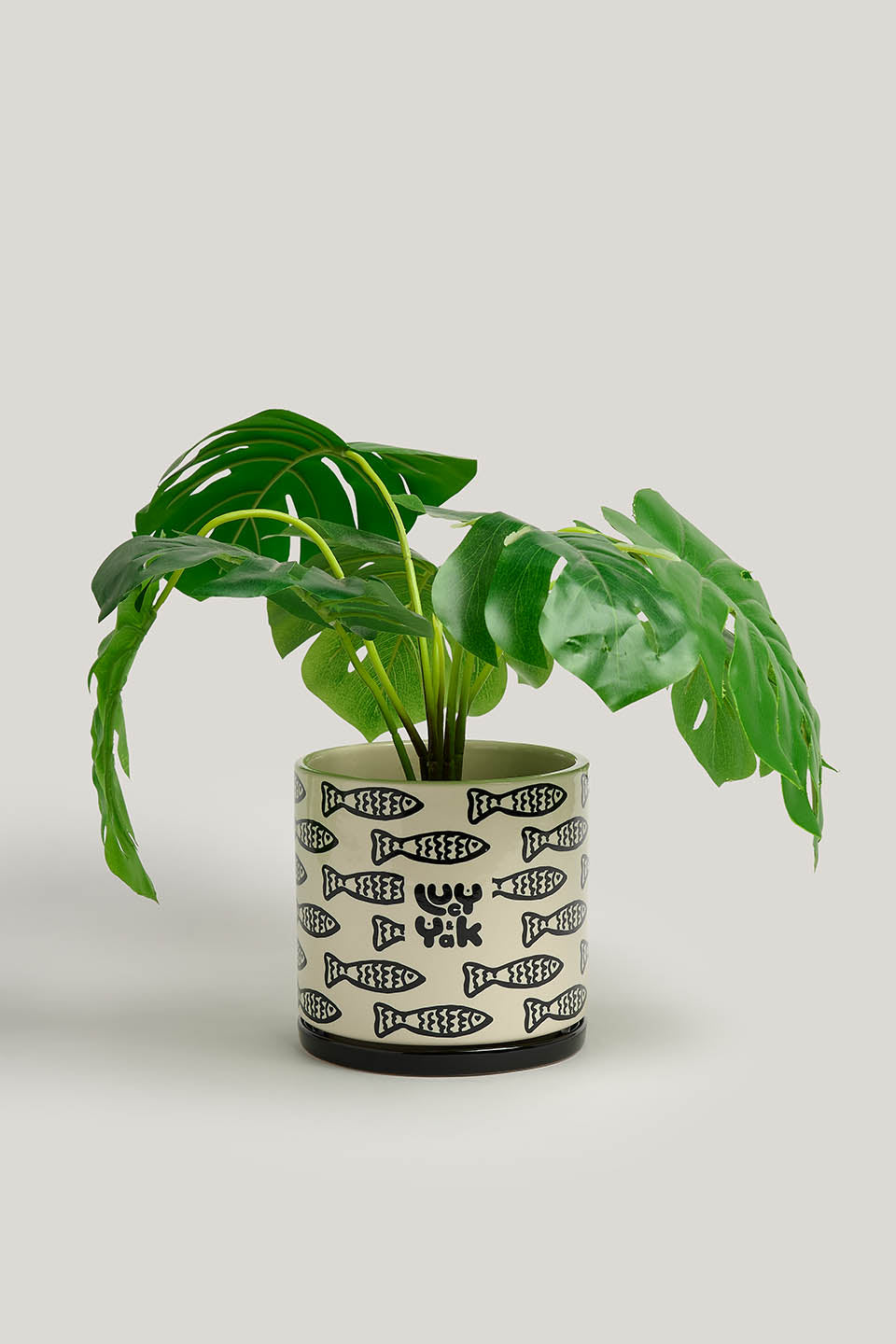 Fern - Ceramic Plant Pot in Black & White Minnow