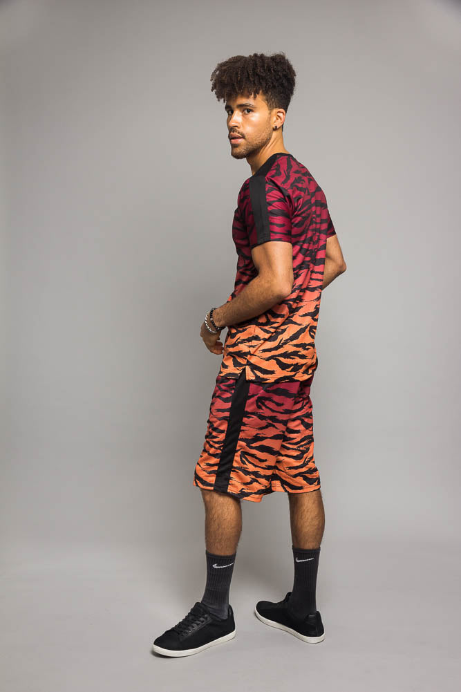 Dip Dye Gradient Tiger Set