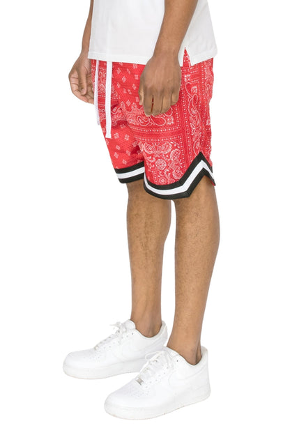 Air Mesh Basketball shorts